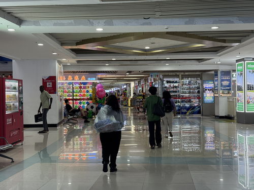 從入境游到入境購(gòu) 帶著空箱來(lái)中國(guó)的外國(guó)游客多起來(lái)了